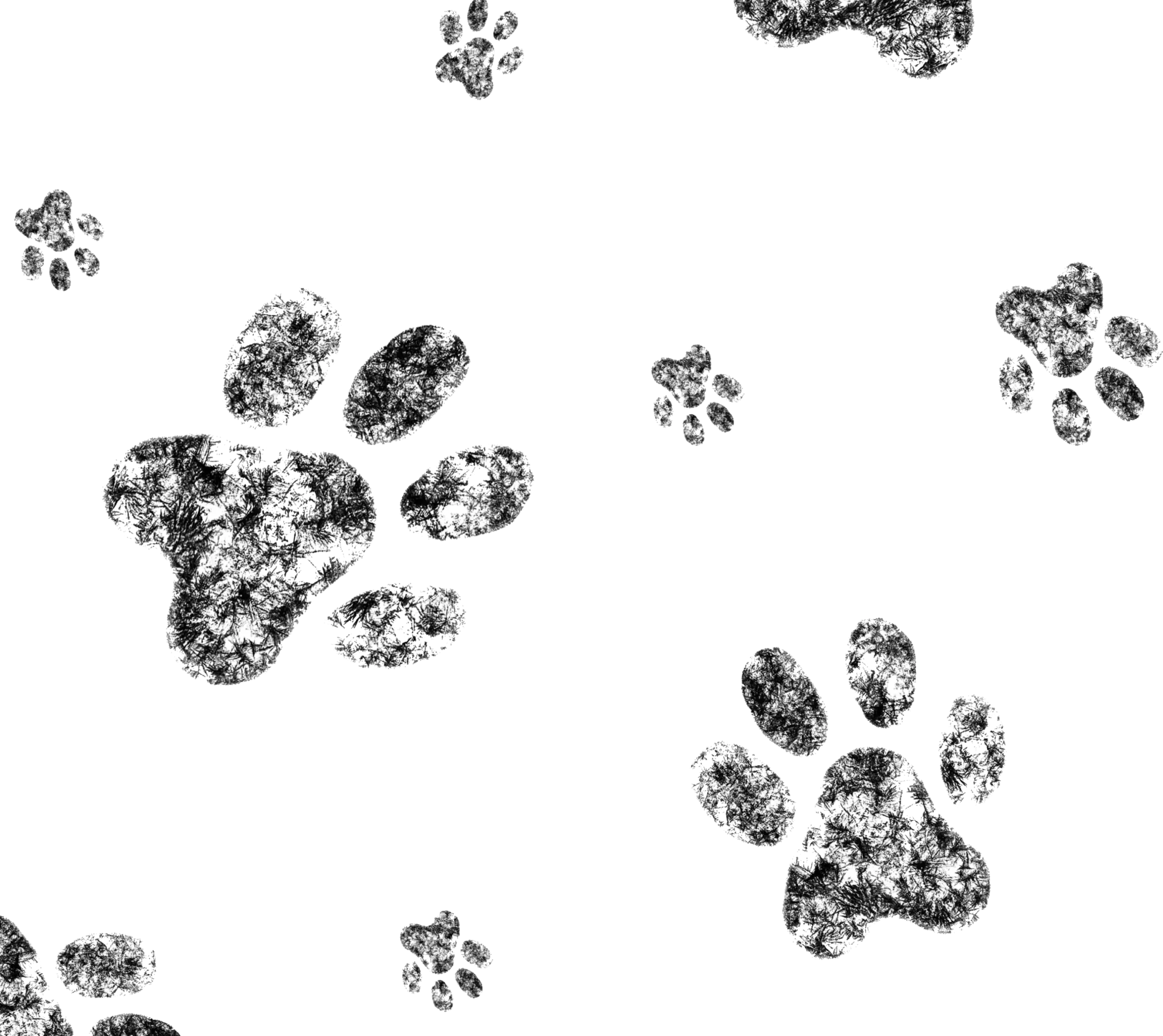 Paw print pattern background