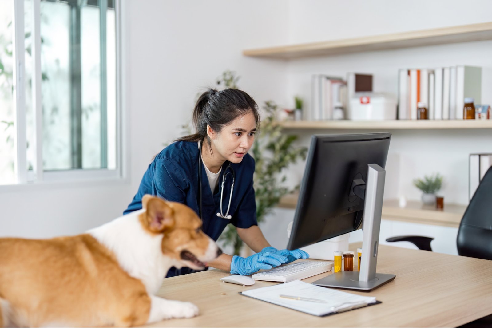 Veterinarian reviewing patient records with a pet owner